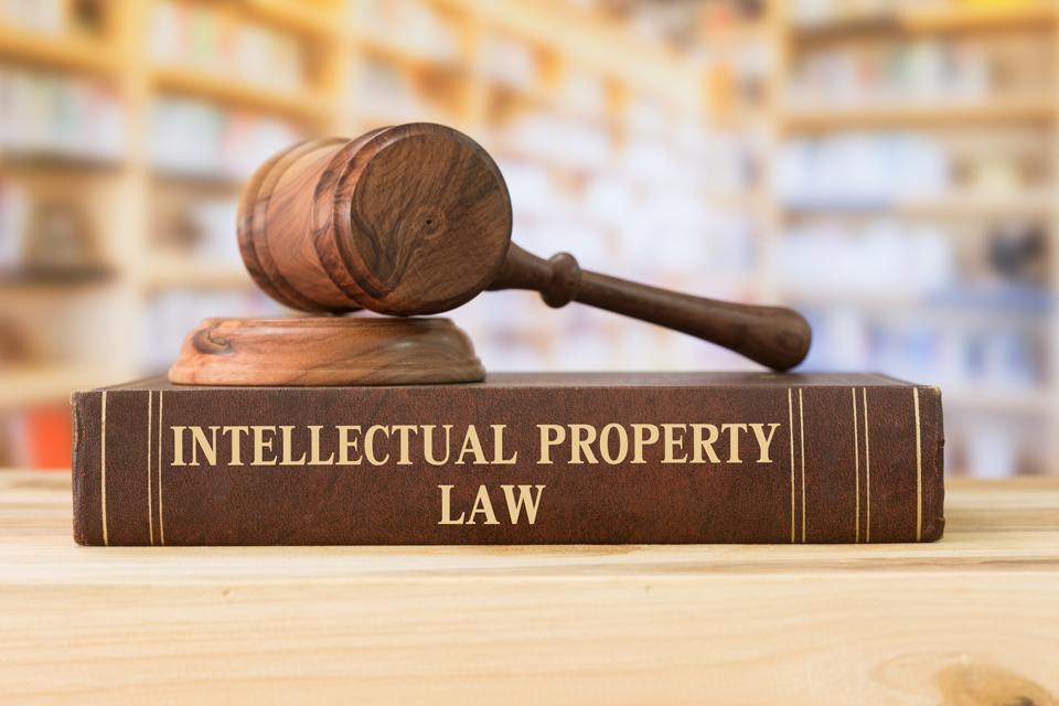 Intellectual Property Lawyers in India – Protect Your Ideas and Innovations | LegalXCode